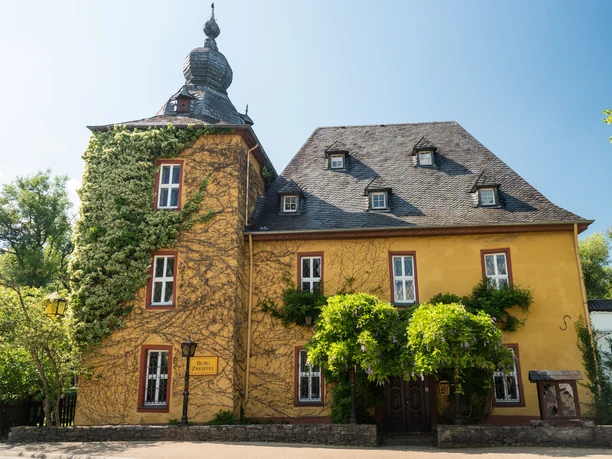 Burg Zweiffel <p>Schloss Bensberg in Bergisch Gladbach, ein barockes Gebäude mit einem markanten Turm und Kletterpflanzen.</p>
