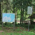 Nordic Walking und Trimpfad Leese Ein Infoboard und ein Schild in einem Wald zeigen den Beginn des Nordic Walking und Trimpfads Leese.