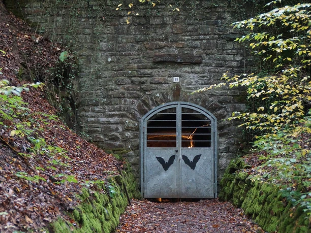 Höhleneingang Ein verschlossener, eisenbeschlagener Stolleneingang aus Stein in einem bewaldeten Hang mit Laub.