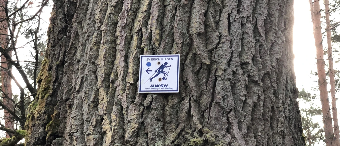 Nordic Walking Langendamm Ein Schild mit Nordic Walking Logo befindet sich an einem Baumstamm in einem bewaldeten Gebiet.