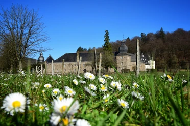 Schloss Ehreshoven Schloss Ehreshoven mit Wiesen voller Gänseblümchen, umgeben von Wald bei klarem Himmel.