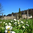 Schloss Ehreshoven Schloss Ehreshoven mit Wiesen voller Gänseblümchen, umgeben von Wald bei klarem Himmel.