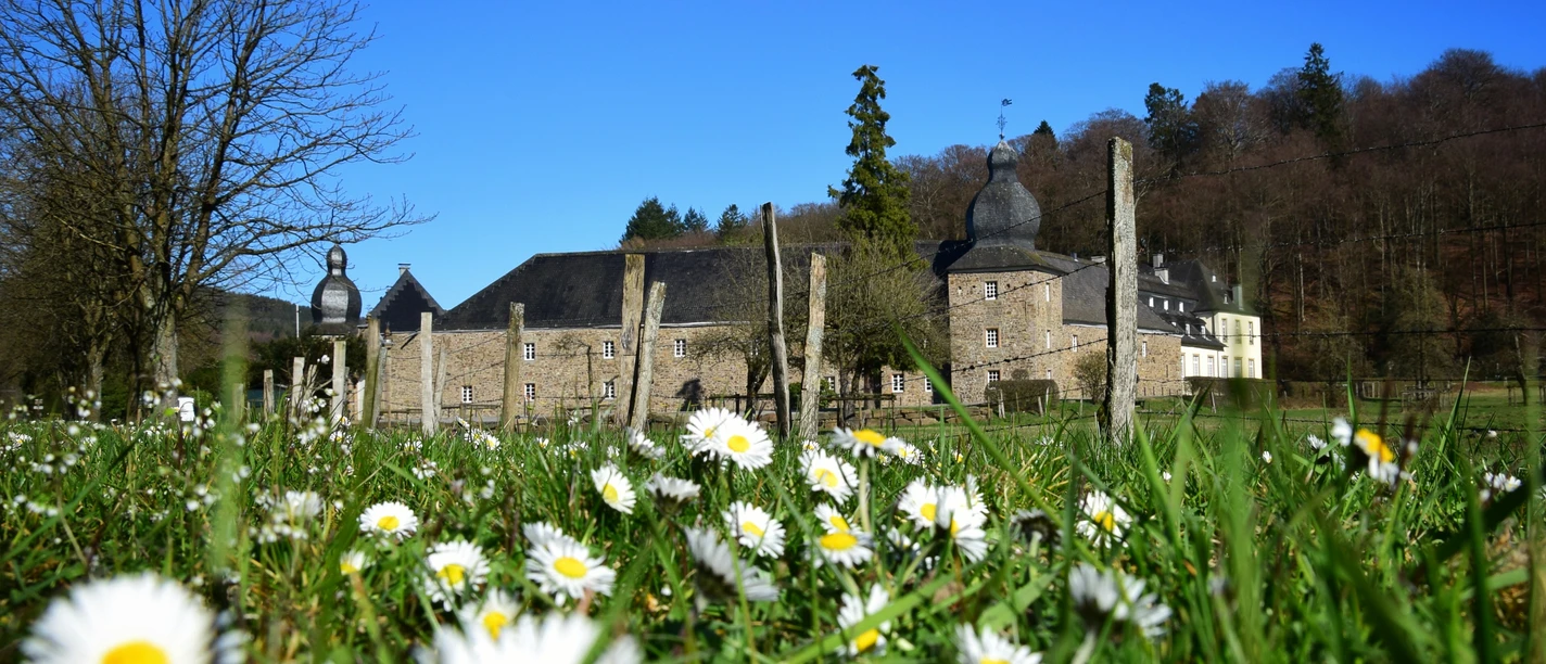 Schloss Ehreshoven Schloss Ehreshoven mit Wiesen voller Gänseblümchen, umgeben von Wald bei klarem Himmel.