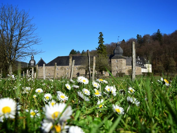 Schloss Ehreshoven Schloss Ehreshoven mit Wiesen voller Gänseblümchen, umgeben von Wald bei klarem Himmel.
