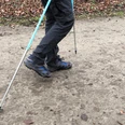 Nordic Walking Ein Nordic Walking-Enthusiast geht auf einem mit Herbstlaub bedeckten Pfad mit Trekkingstöcken.
