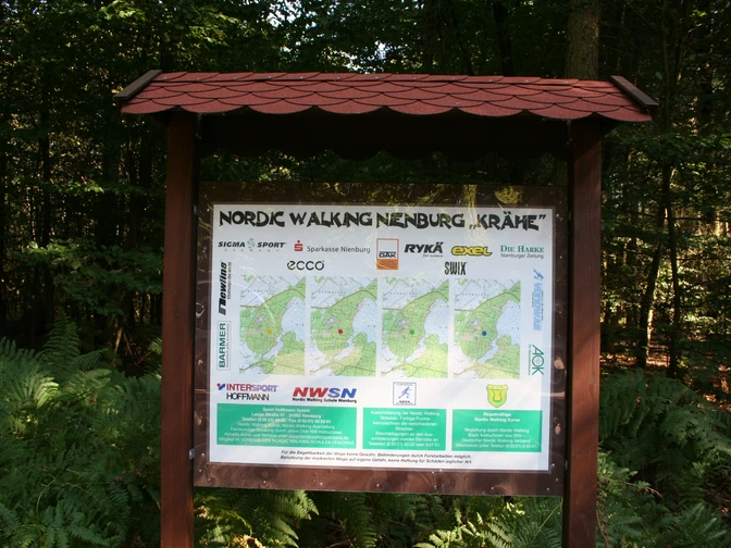 Nordic Walking-Schild im Wald mit Karte und Sponsorenlogos, umgeben von grünen Farnen und Bäumen.