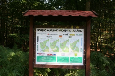 Nordic Walking-Schild Nordic Walking-Schild im Wald mit Karte und Sponsorenlogos, umgeben von grünen Farnen und Bäumen.