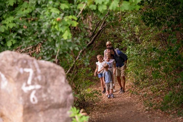 Wandern Familie spaziert auf einem Waldweg, umgeben von dichten grünen Bäumen und Blättern.
