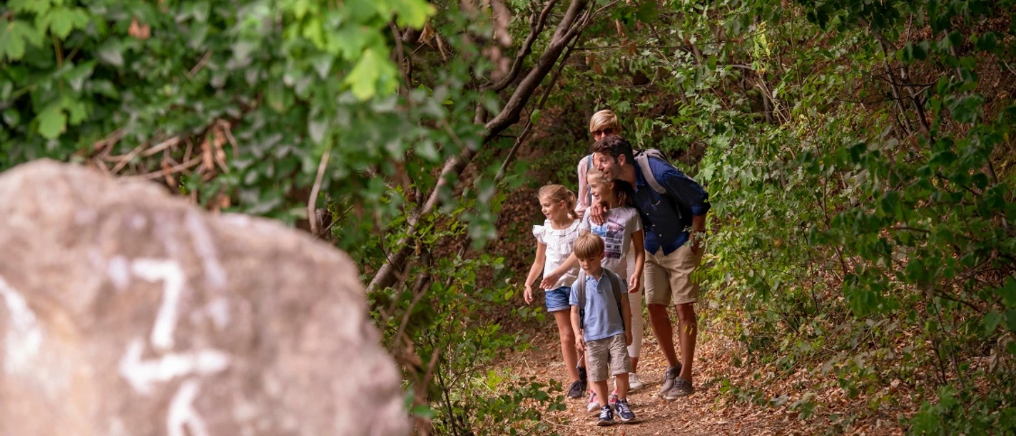 Wandern Familie spaziert auf einem Waldweg, umgeben von dichten grünen Bäumen und Blättern.