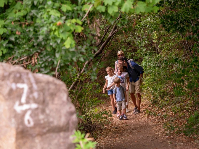 Wandern Familie spaziert auf einem Waldweg, umgeben von dichten grünen Bäumen und Blättern.