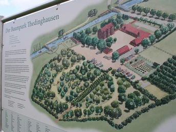 Übersichtsplan des Baumparks Thedinghausen mit Wegen, Baumanordnungen und benachbartem Gebäude.