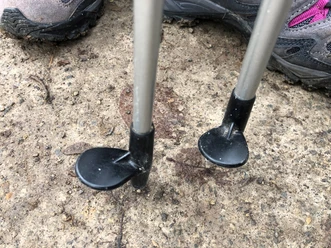 Two Nordic walking poles stand on a parquet-like path, surrounded by sports shoes.