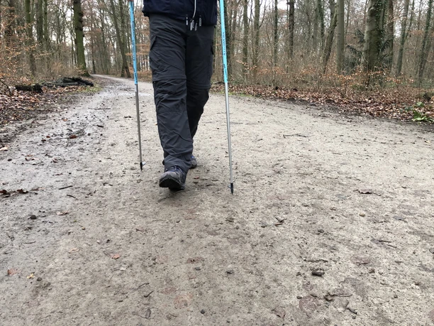 Under a gray sky, a person with Nordic walking poles walks along a forest path.