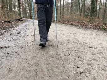 Nordic Walking Unter einem grauen Himmel wandert eine Person mit Nordic-Walking-Stöcken auf einem Waldweg.