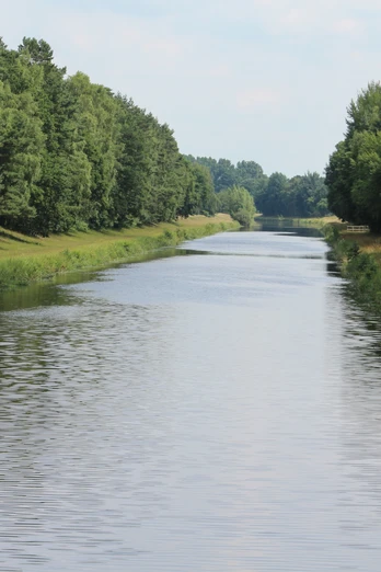 Große Aue Breiter Flusslauf, umgeben von dichtem Wald und grünen Wiesen unter blauem Himmel in Niedersachsen.
