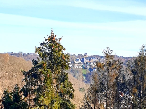Blick auf Schloss Burg Blick auf Schloss Burg