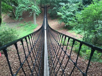 dschungelbrücke-barfusspark-min.JPG Eine Hängebrücke spannt sich zwischen Bäumen in einem dichten, grünen Wald.
