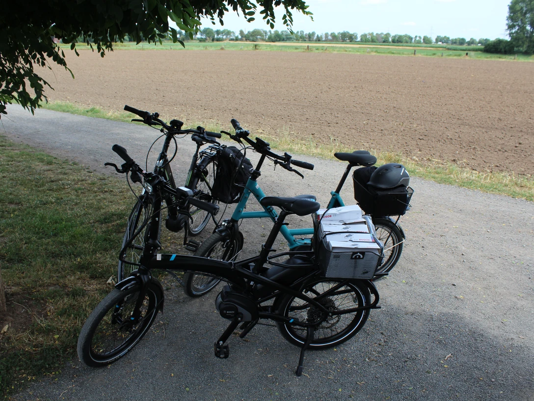 Räder Drei E-Bikes stehen auf einem Feldweg neben einem Baum, mit weitem Ackerland im Hintergrund.