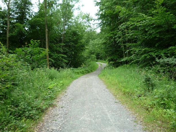Wanderweg in Richtung Velmerstot