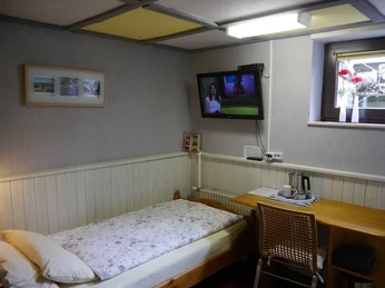 Apfelbäumchen - im Gästehaus AM HERRMANN Ein Einzelzimmer mit Bett, Holztisch, Stuhl und Wand-TV, dekoriert mit Bildern und Blumenvase.