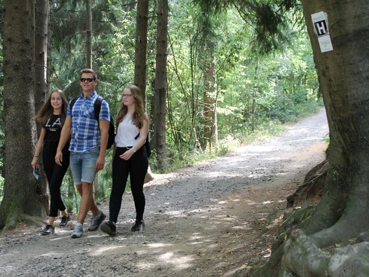 Drei junge Menschen wandern fröhlich auf einem Waldweg zwischen hohen Bäumen.