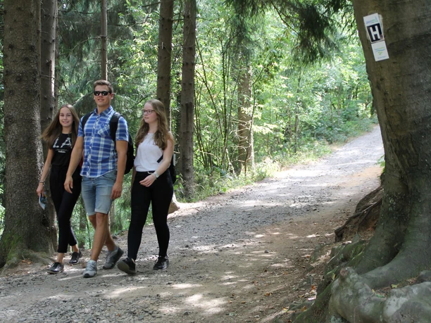 Drei junge Menschen wandern fröhlich auf einem Waldweg zwischen hohen Bäumen.