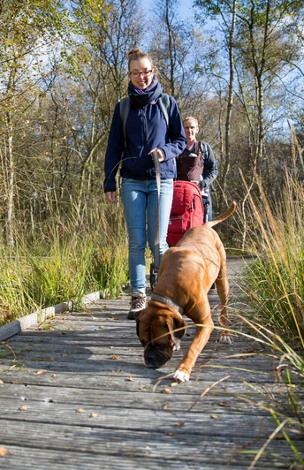 natur-erlebnis-tour ovelgönne.jpg