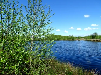 natur-erlebnis-tour ovelgönne.JPG
