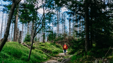 wandern-frau-hund(c)nordstadtlicht.jpg