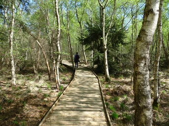 natur-erlebnis-tour ovelgönne.JPG