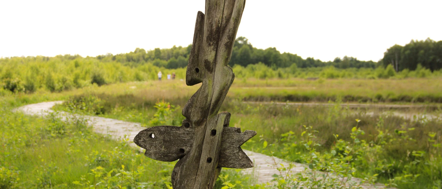 Moorlehrpfad NIZ Goldenstedt