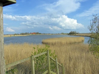 NABU Vogelbeobachtungsstation Krummhörn Ausblick von einer Holzplattform auf einen See mit Schilfgürtel und weitem Himmel.