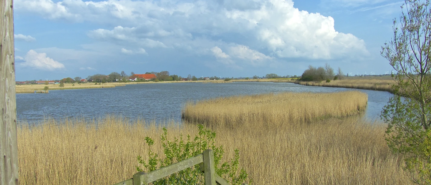 NABU Vogelbeobachtungsstation Krummhörn Ausblick von einer Holzplattform auf einen See mit Schilfgürtel und weitem Himmel.
