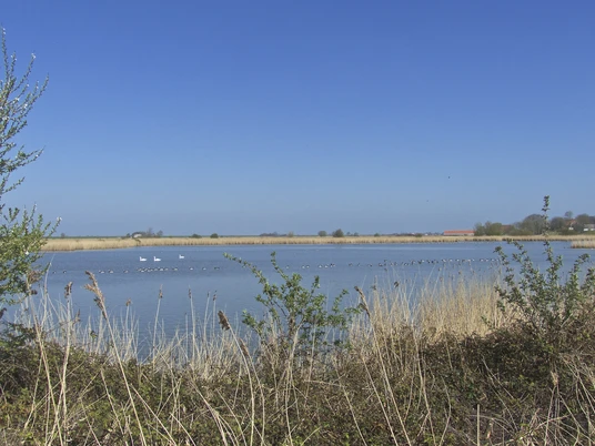 Pilsum Pütten Naturschutzgebiet NABU Vogelbeobachtungsstation Pilsum Pütten Naturschutzgebiet