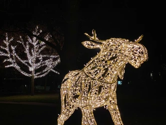 Elch in den Wallanlagen, Lichterzauber in Hann. Münden Elk in the ramparts, magic lights in Hann. Münden