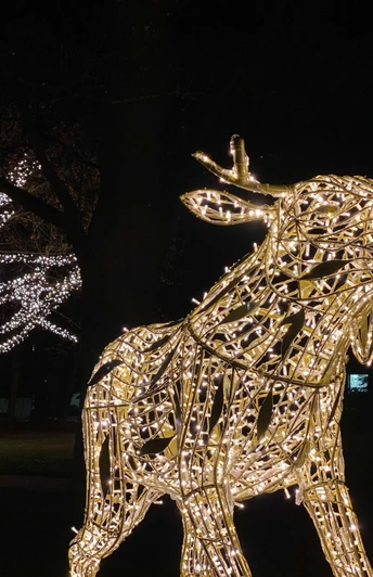 Elch in den Wallanlagen, Lichterzauber in Hann. Münden Elch in den Wallanlagen, Lichterzauber in Hann. Münden