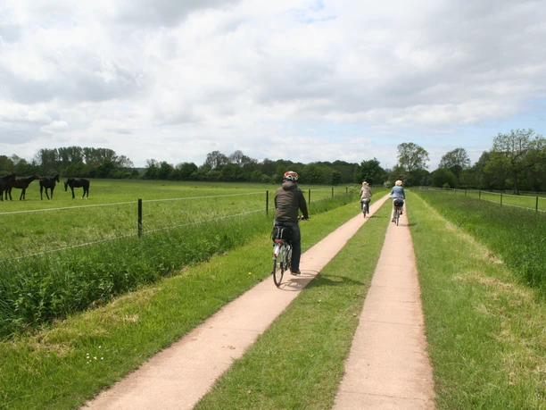 Cyclists on a narrow, asphalted path along green meadows and past grazing horses.