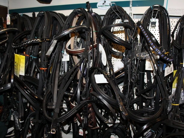 Lederne Zügel und Halfter hängen dicht aneinander in einem gut sortierten Reiterbedarfsgeschäft.