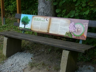 Holzbank mit Informationstafel über den Waldwirtschaft, umgeben von Bäumen und Kiesweg.