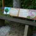 Holzbank mit Informationstafel über den Waldwirtschaft, umgeben von Bäumen und Kiesweg.
