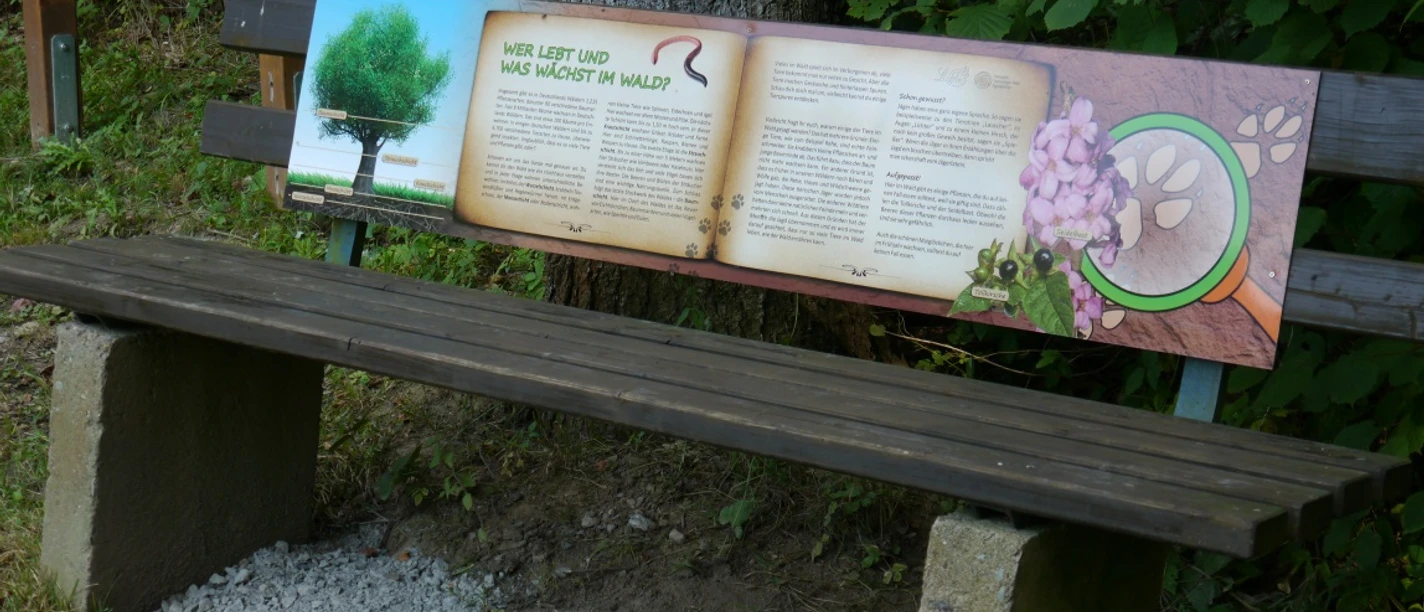 Holzbank mit Informationstafel über den Waldwirtschaft, umgeben von Bäumen und Kiesweg.