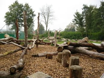 Rast- und Spielplatz Almena Spielplatz mit Holzstrukturen und Baumstämmen, umgeben von Bäumen und Laub für Naturerlebnisse.