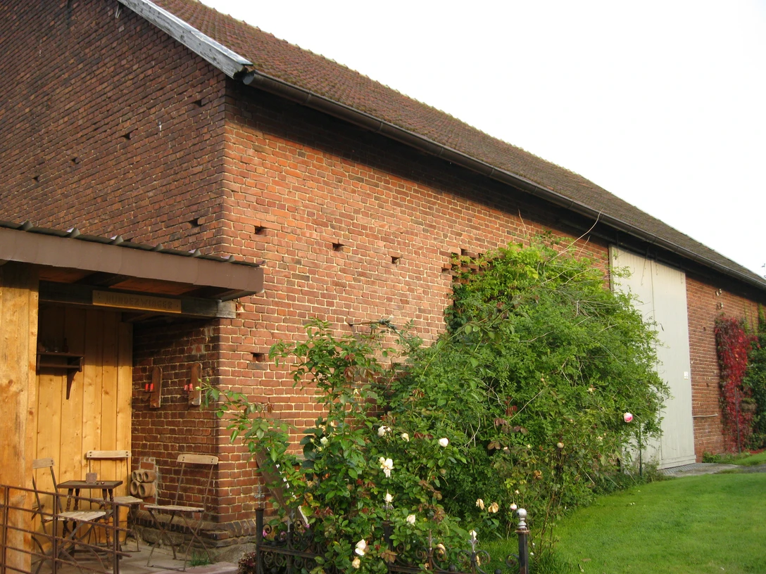Historische Scheune in Extertal-Laßbruch Backsteinscheune in Extertal-Laßbruch mit rankenden Pflanzen an der sonnigen Seitenwand.