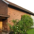 Historische Scheune in Extertal-Laßbruch Backsteinscheune in Extertal-Laßbruch mit rankenden Pflanzen an der sonnigen Seitenwand.