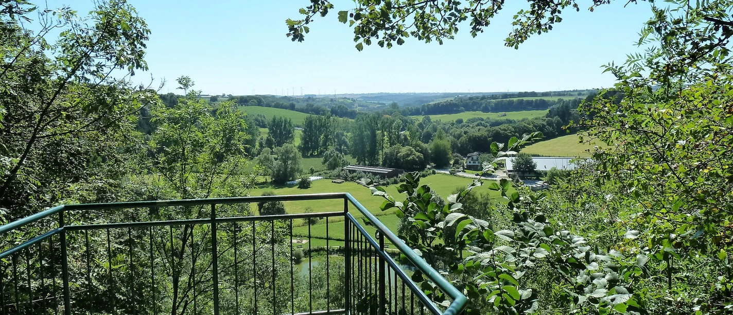 Aussichtspunkt mit Geländer überblickt grünes Altenautal, umgeben von Bäumen und sanften Hügeln.