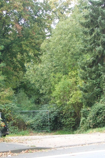 Eingezäuntes Waldgelände mit dichtem Blattwerk und Straßenbeleuchtung, daneben ein Verkehrszeichen.