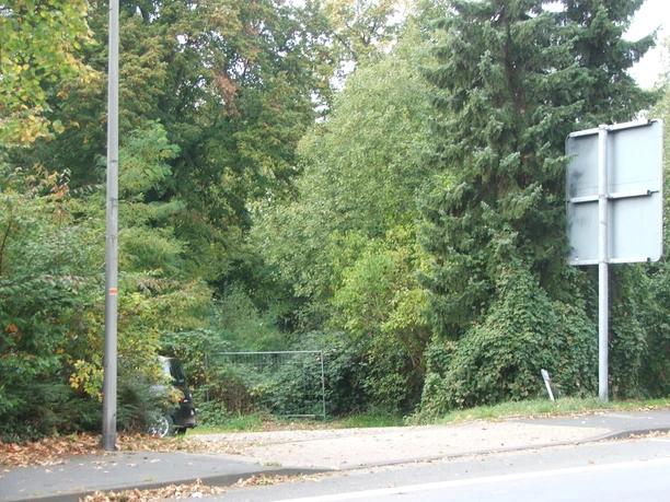 Gelände Alte Burg Eingezäuntes Waldgelände mit dichtem Blattwerk und Straßenbeleuchtung, daneben ein Verkehrszeichen.