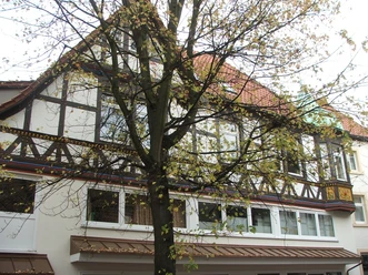 Fachwerkhaus mit rotem Dach, verziertem Erker und beigem Anstrich, hinter Baum mit Herbstblättern.