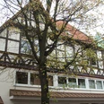 Fachwerkhaus mit rotem Dach, verziertem Erker und beigem Anstrich, hinter Baum mit Herbstblättern.