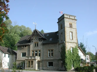 Wilhelmsburg Historische Steinvilla mit Turm, umgeben von Bäumen; blauer Himmel und wehende Fahne im Hintergrund.